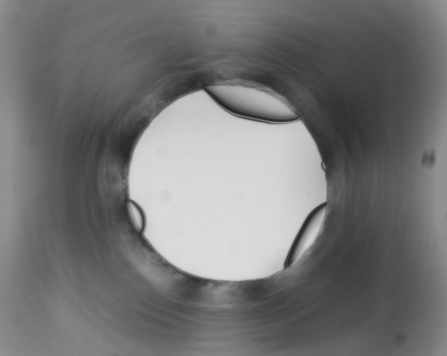 X0000113090186200910091306