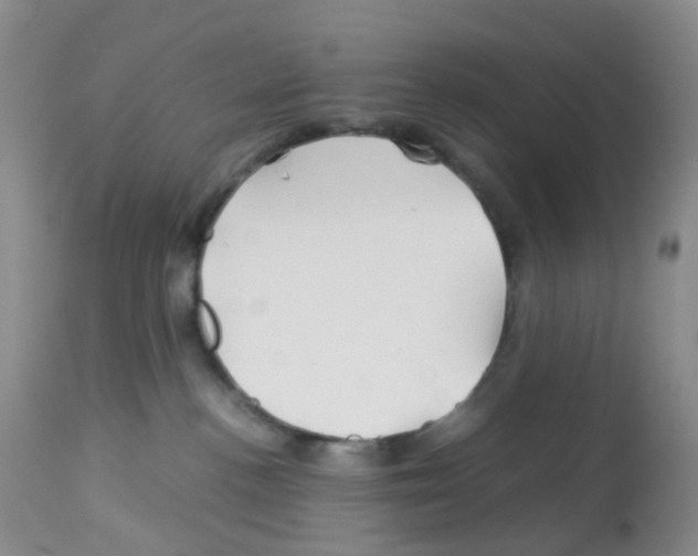 X0000113090188200910091306