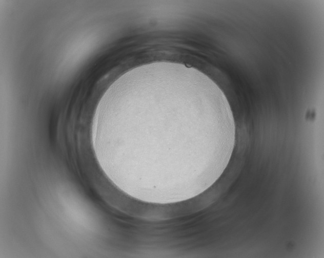 X0000113090189200910091306