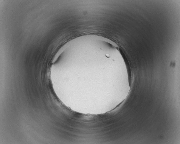 X0000113090190200910091306