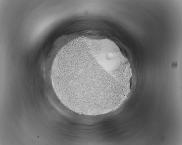 X0000113090191200910091306