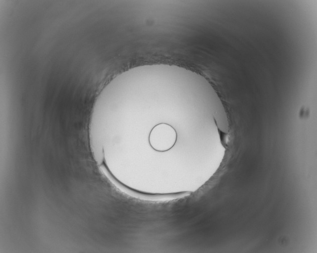 X0000113090192200910091306
