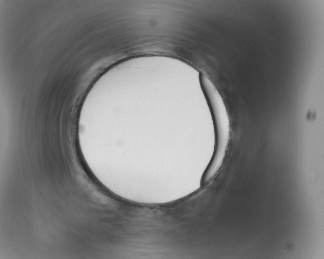 X0000113090193200910091305
