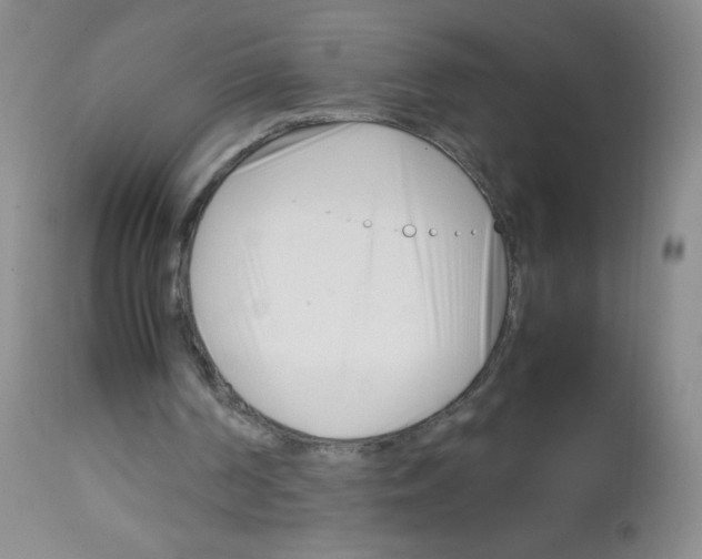 X0000113090194200910091305