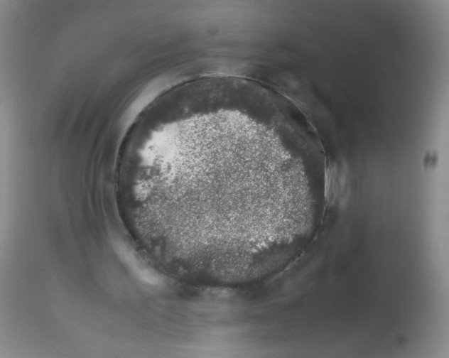 X0000113090195200910091305