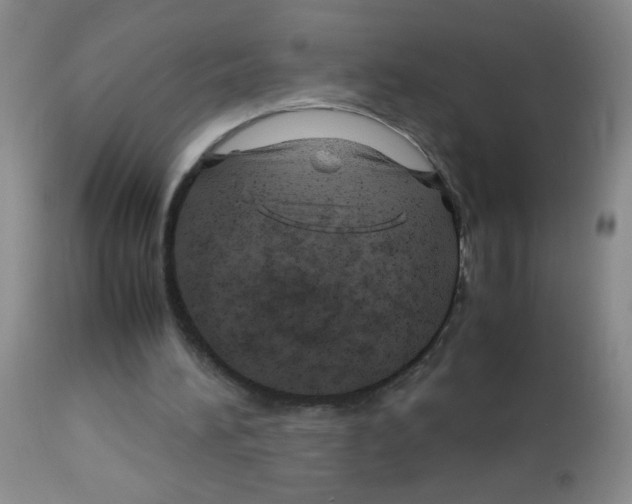 X0000113090196200910091305