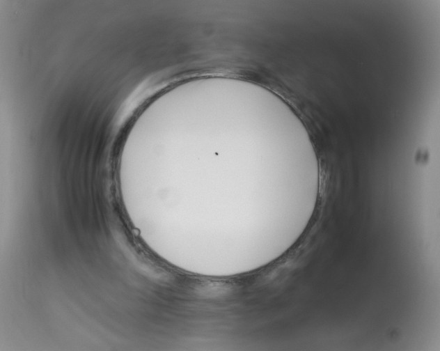 X0000113090198200910091305