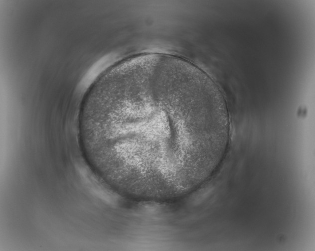 X0000113090199200910091305