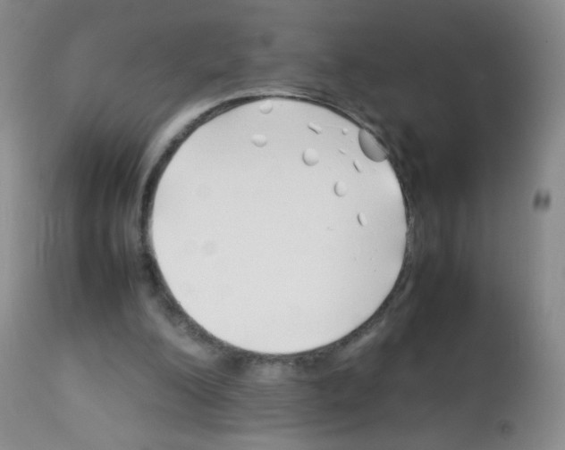 X0000113090200200910091305