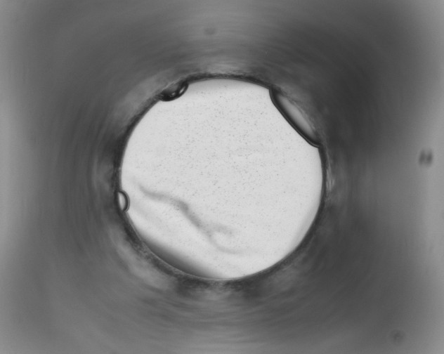 X0000113090201200910091305