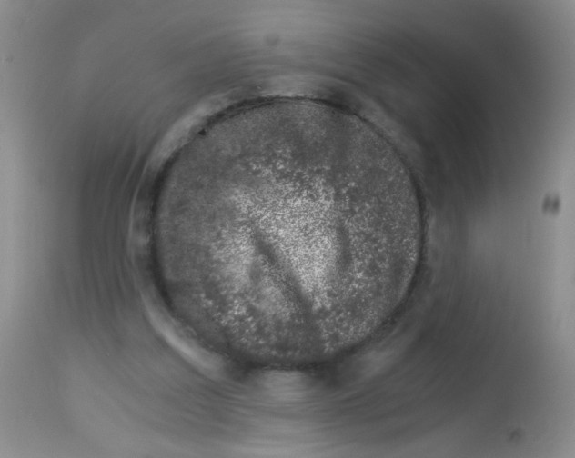 X0000113090203200910091305
