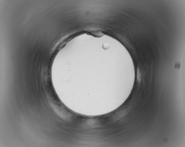 X0000113090204200910091305