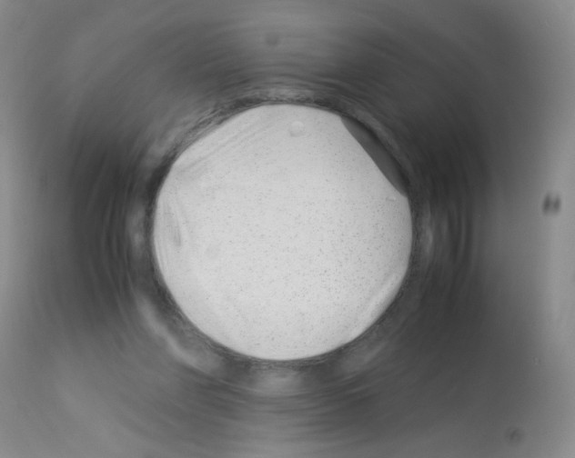 X0000113090206200910091305