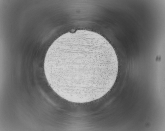X0000113090207200910091305