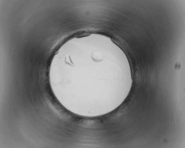 X0000113090208200910091305