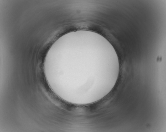 X0000113090209200910091305