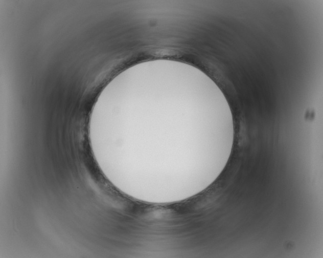 X0000113090210200910091305