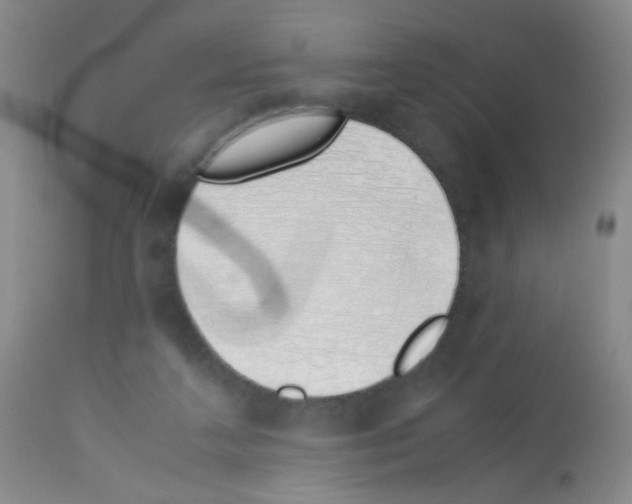 X0000113090211200910091305