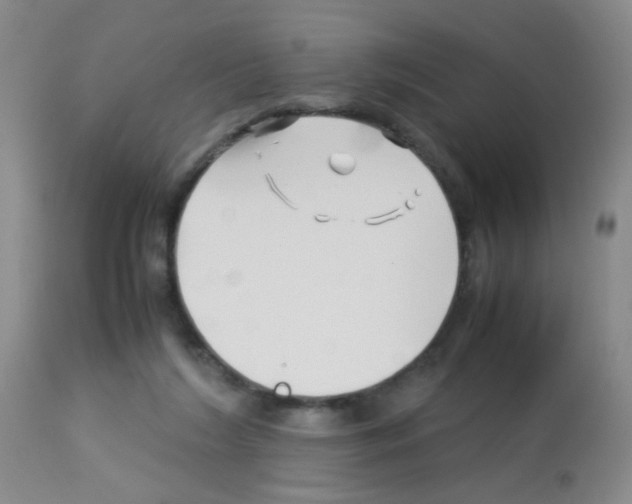 X0000113090212200910091305