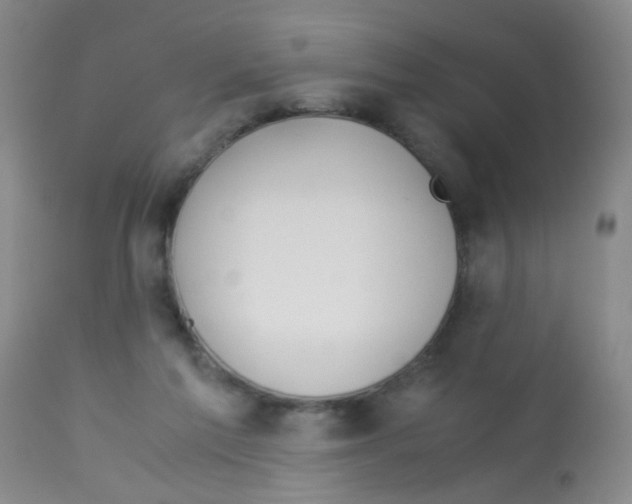 X0000113090213200910091305