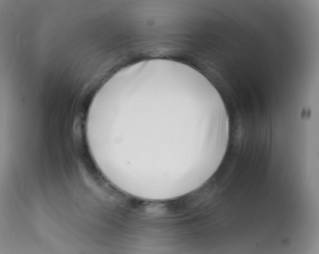 X0000113090214200910091305