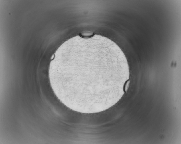 X0000113090215200910091305