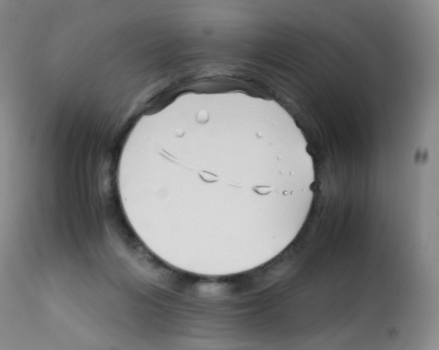 X0000113090216200910091305