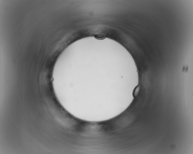 X0000113090217200910091305