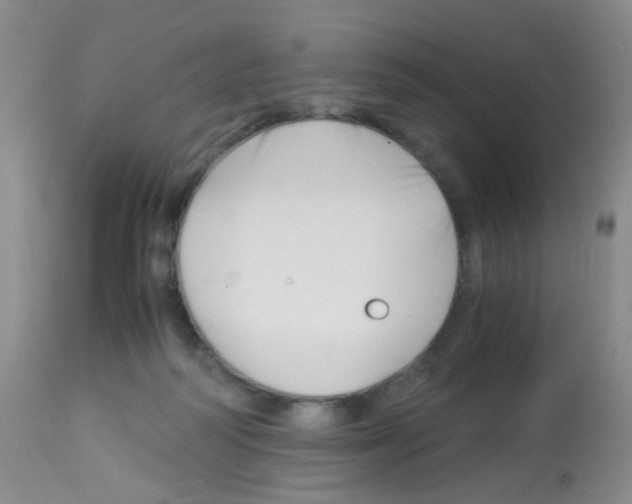 X0000113090218200910091305