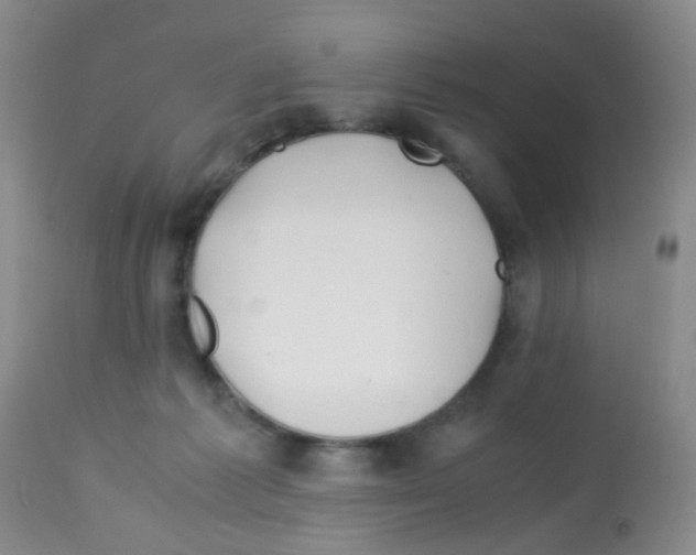 X0000113090221200910091305