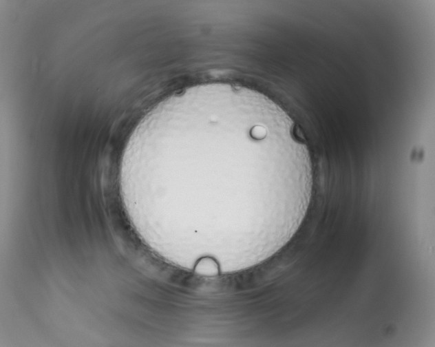 X0000113090222200910091305