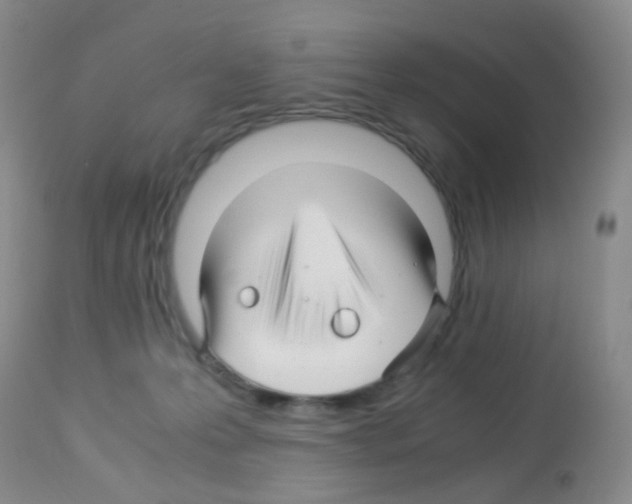 X0000113090223200910091305