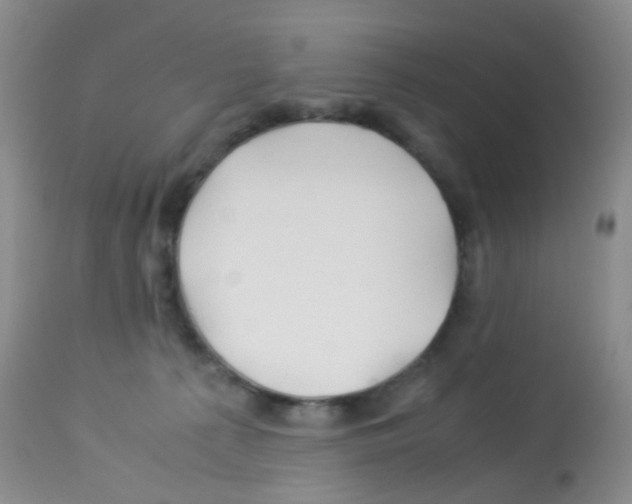X0000113090225200910091305