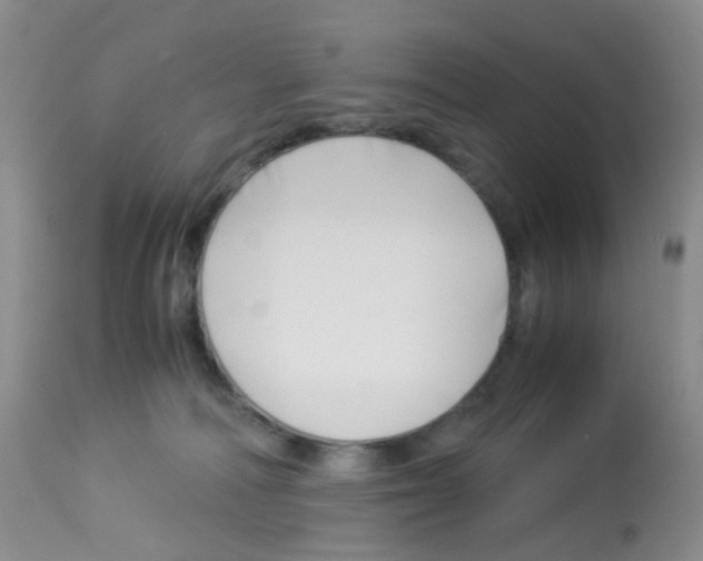 X0000113090226200910091305