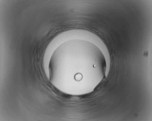 X0000113090227200910091305