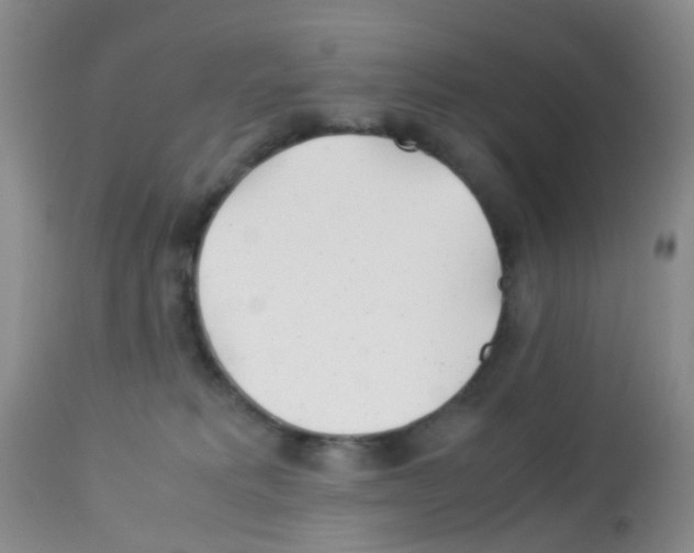 X0000113090229200910091305