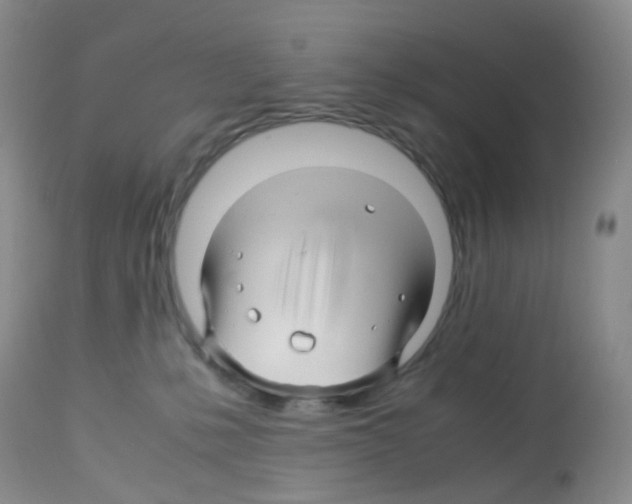 X0000113090231200910091305
