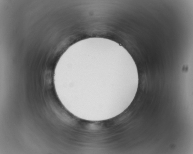 X0000113090232200910091305