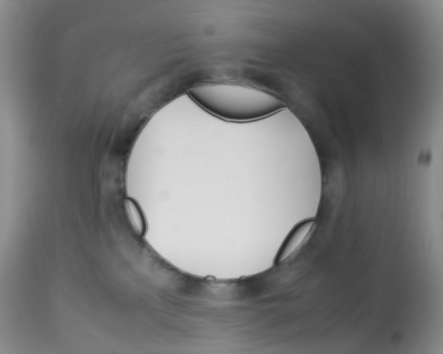 X0000113090233200910091305