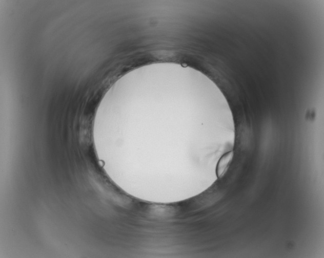 X0000113090234200910091305