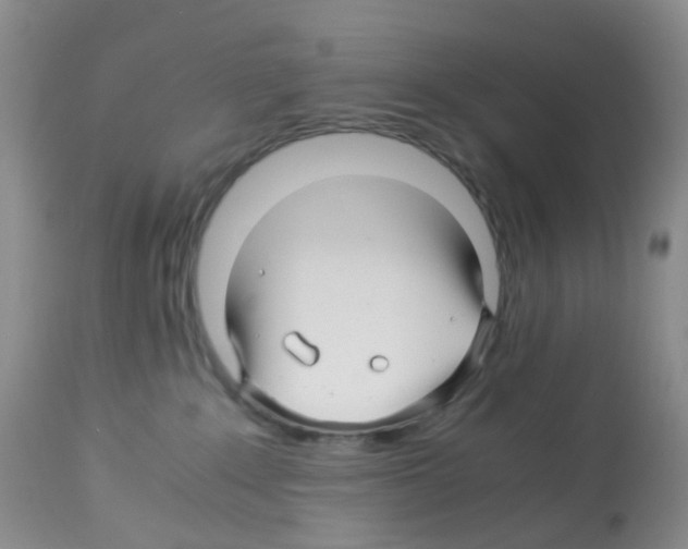 X0000113090235200910091305