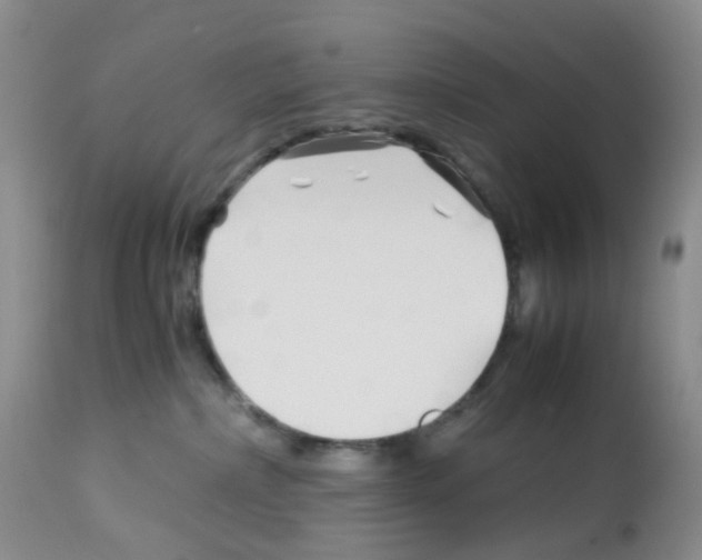 X0000113090236200910091305