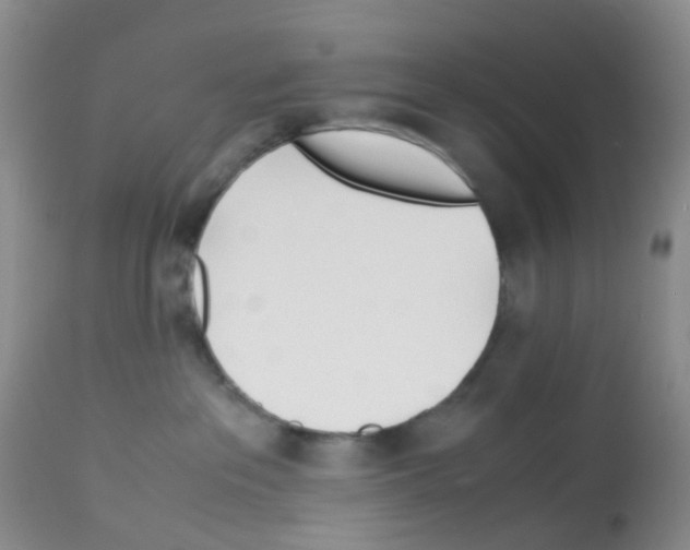 X0000113090237200910091305