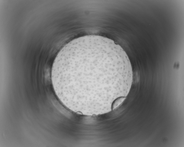 X0000113090238200910091305