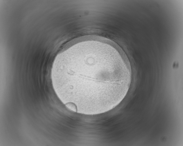 X0000113090240200910091305