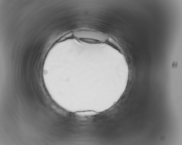 X0000113090241200910091304