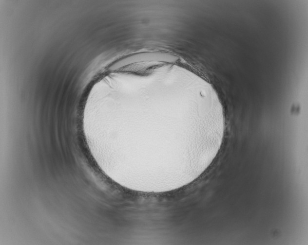 X0000113090242200910091304