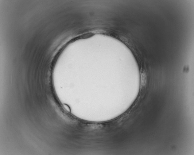 X0000113090243200910091304