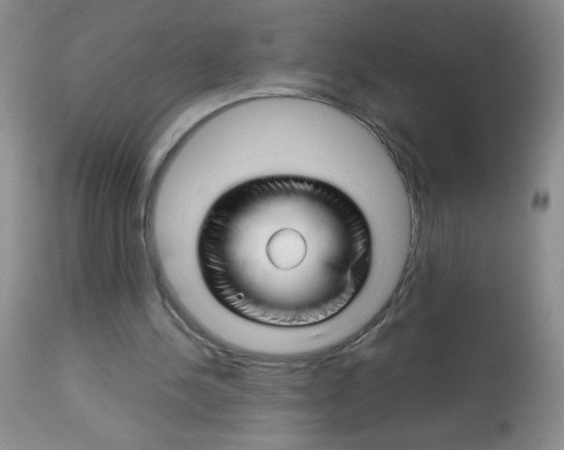 X0000113090244200910091304