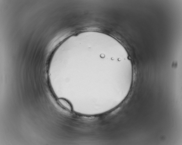 X0000113090245200910091304